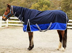 X-Calibur 1200D Synthetic Combo Rug